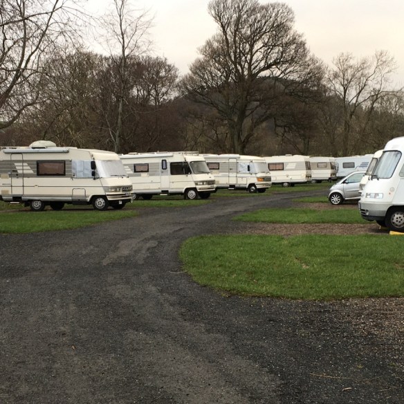 517505ED-AFA5-4B44-B89A-6434BF28DD12_1_105_c